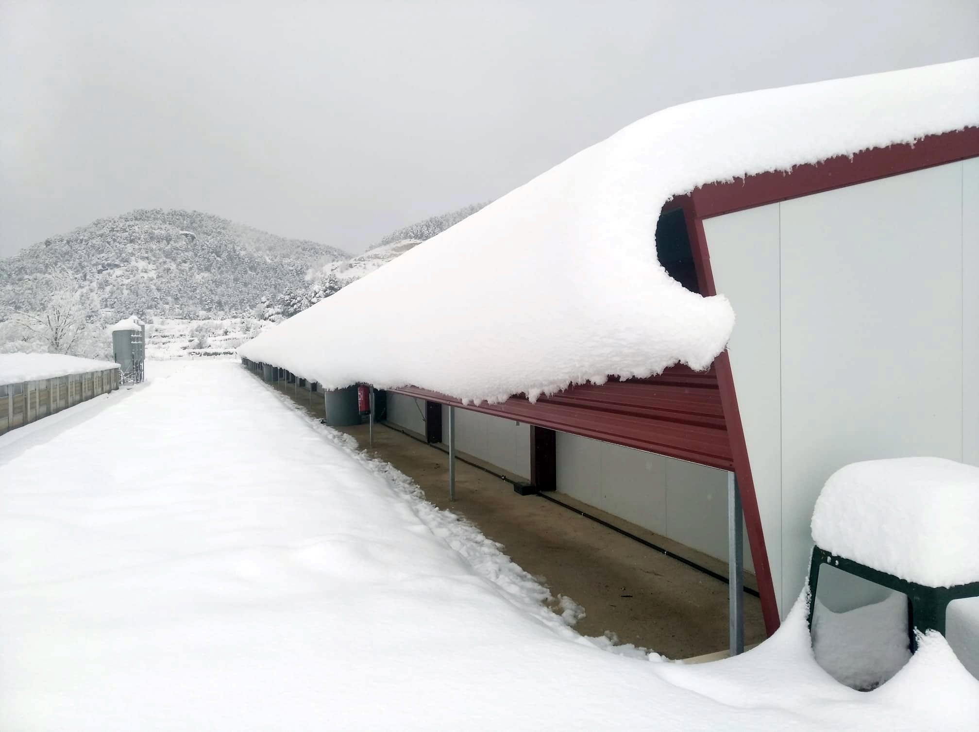 Entrevista a Jose Ramón, empresario avicultor.